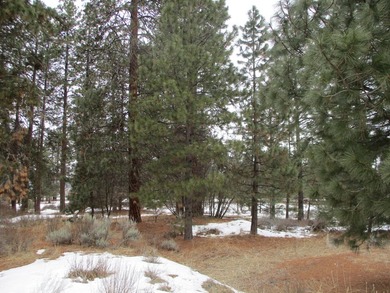 Residential Lot in Gorgeous Latakomie Shores Subdivision, Septic - photo 4