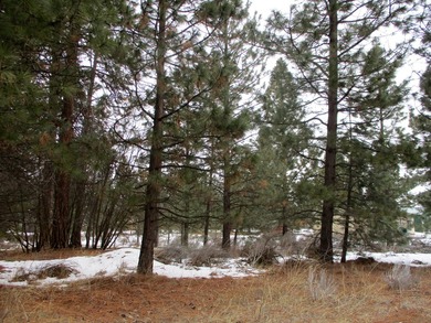 Residential Lot in Gorgeous Latakomie Shores Subdivision, Septic - photo 5