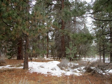 Residential Lot in Gorgeous Latakomie Shores Subdivision, Septic - photo 6