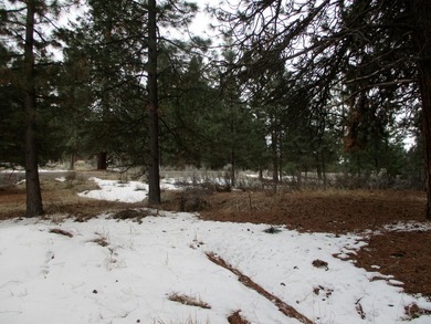 Residential Lot in Gorgeous Latakomie Shores Subdivision, Septic - photo 8
