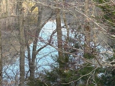 Lot 15 in the desirable Ridges of Dale Hollow offers 1.47 acres - photo 2