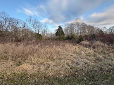 Lot 15 in the desirable Ridges of Dale Hollow offers 1.47 acres - photo 5