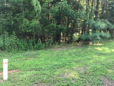 Lake Acreage For Sale in Lynch Station, Virginia