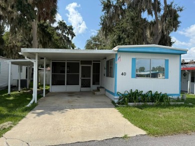 Lake Home For Sale in Leesburg, Florida