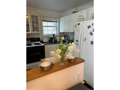 Sunny and Bright 2 Bedrooms Garden Apartment on the 1st Floor in - photo 6