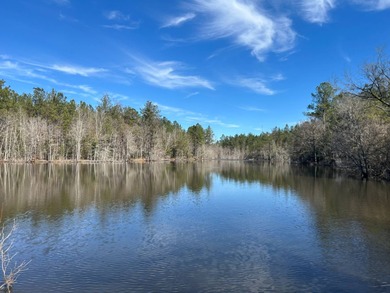 (private lake, pond, coastal) Acreage For Sale in State Line Mississippi