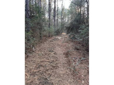 WELCOME TO THE GREENE 108, LOCATED OFF HIGHWAY 42 BETWEEN SAND - photo 2
