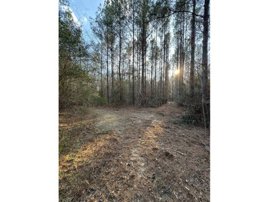 WELCOME TO THE GREENE 108, LOCATED OFF HIGHWAY 42 BETWEEN SAND - photo 3