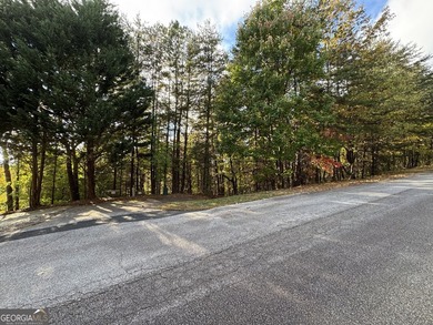 Come build your dream home in the North Georgia Mountains on - photo 12
