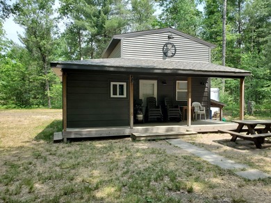 Lake Home For Sale in Baldwin, Michigan