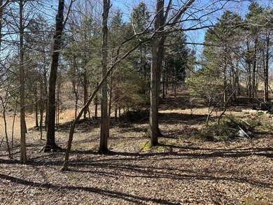 2-bedroom, 1-bath home tucked on 2.01+/- acres of beautiful - photo 4