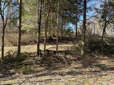2-bedroom, 1-bath home tucked on 2.01+/- acres of beautiful - photo 5