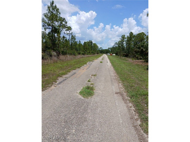 Lehigh Acres Area Lot For Sale in Lehigh Acres Florida