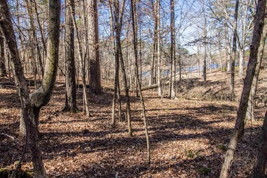 Additional listing photo 1