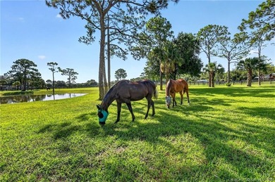 Palm City Farms Equestrian Estate | Endless Potential. A rare - photo 41
