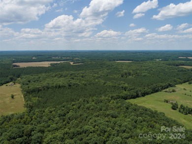 High Rock Lake Acreage Sale Pending in Richfield North Carolina