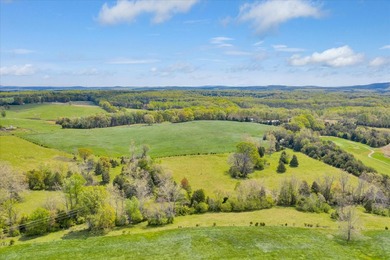 This magnificent 111+ acre farm boasts 2 homes and many - photo 12