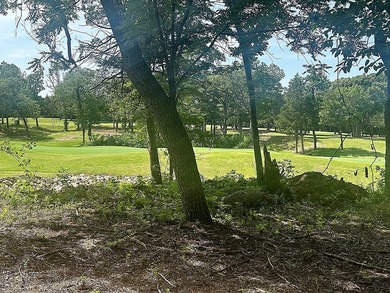 BEST LOT IN ROCK CREEK RESORT - OVER AN ACRE ON THE 17th GREEN - - photo 13