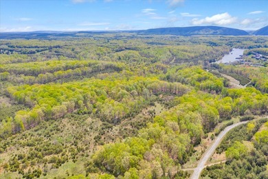 This magnificent 111+ acre farm boasts 2 homes and many - photo 13