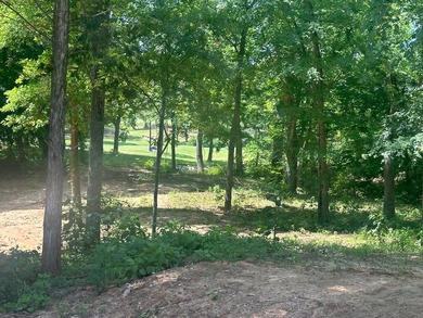 BEST LOT IN ROCK CREEK RESORT - OVER AN ACRE ON THE 17th GREEN - - photo 14