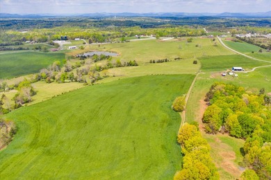 This magnificent 111+ acre farm boasts 2 homes and many - photo 16