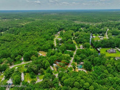 Brand new and never lived in! This beautiful 16' x 76' - photo 23