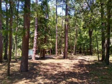 Callender Lake Lot For Sale in Murchison Texas