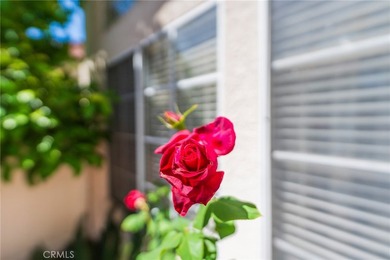 38 Carnation - photo 32