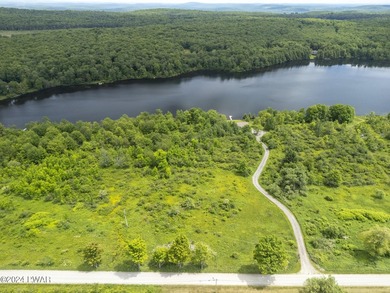 Located in scenic Northern Wayne County sits a beautiful 4.62 - photo 6