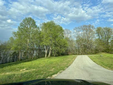 Rare opportunity on Barren River Lake! This 1/2+ acre lakefront - photo 4