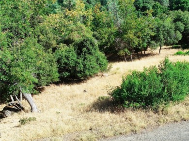 Lake Lot For Sale in Kelseyville, California