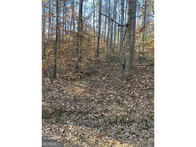 Lake Hartwell Lot For Sale in Lavonia Georgia