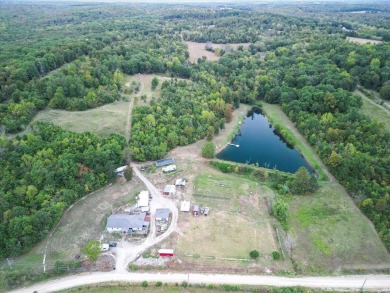 Lake Home For Sale in Stockton, Missouri