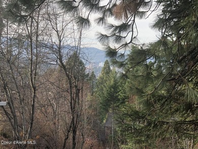 Lake Lot For Sale in Coeur d Alene, Idaho
