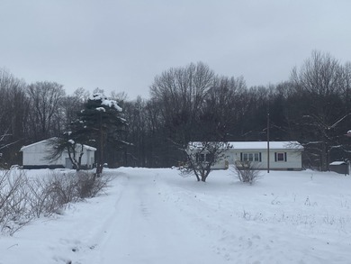 Lake Home For Sale in Allegan, Michigan