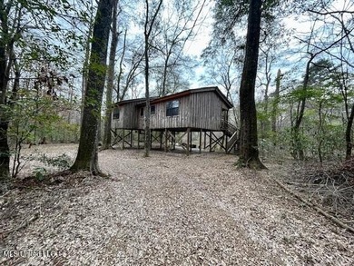 Secluded and peaceful, this charming 2-bedroom, 2-bath cabin - photo 17