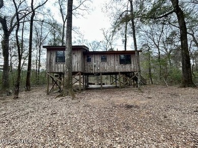 Secluded and peaceful, this charming 2-bedroom, 2-bath cabin - photo 19