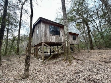 Secluded and peaceful, this charming 2-bedroom, 2-bath cabin - photo 20