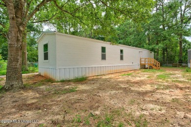 Brand new and never lived in! This beautiful 16' x 76' - photo 21