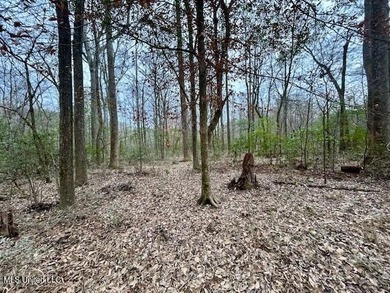 Secluded and peaceful, this charming 2-bedroom, 2-bath cabin - photo 22