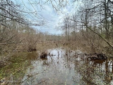 Secluded and peaceful, this charming 2-bedroom, 2-bath cabin - photo 23