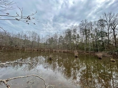 Secluded and peaceful, this charming 2-bedroom, 2-bath cabin - photo 24