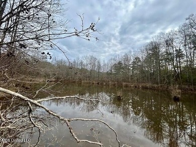 Secluded and peaceful, this charming 2-bedroom, 2-bath cabin - photo 26