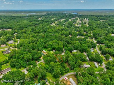 Brand new and never lived in! This beautiful 16' x 76' - photo 29