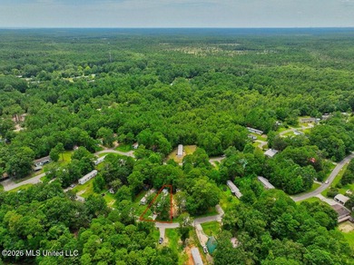 Brand new and never lived in! This beautiful 16' x 76' - photo 31