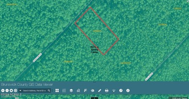 Wooded lot waiting for an investor. 10 minutes from Southport - photo 1