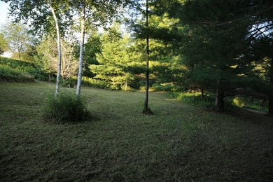 If you have been trying to find the perfect riverfront property - photo 7