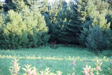 If you have been trying to find the perfect riverfront property - photo 8