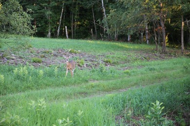 If you have been trying to find the perfect riverfront property - photo 10