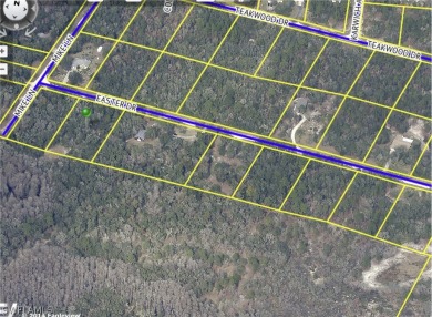 Withlacoochee River Lot Sale Pending in Webster Florida